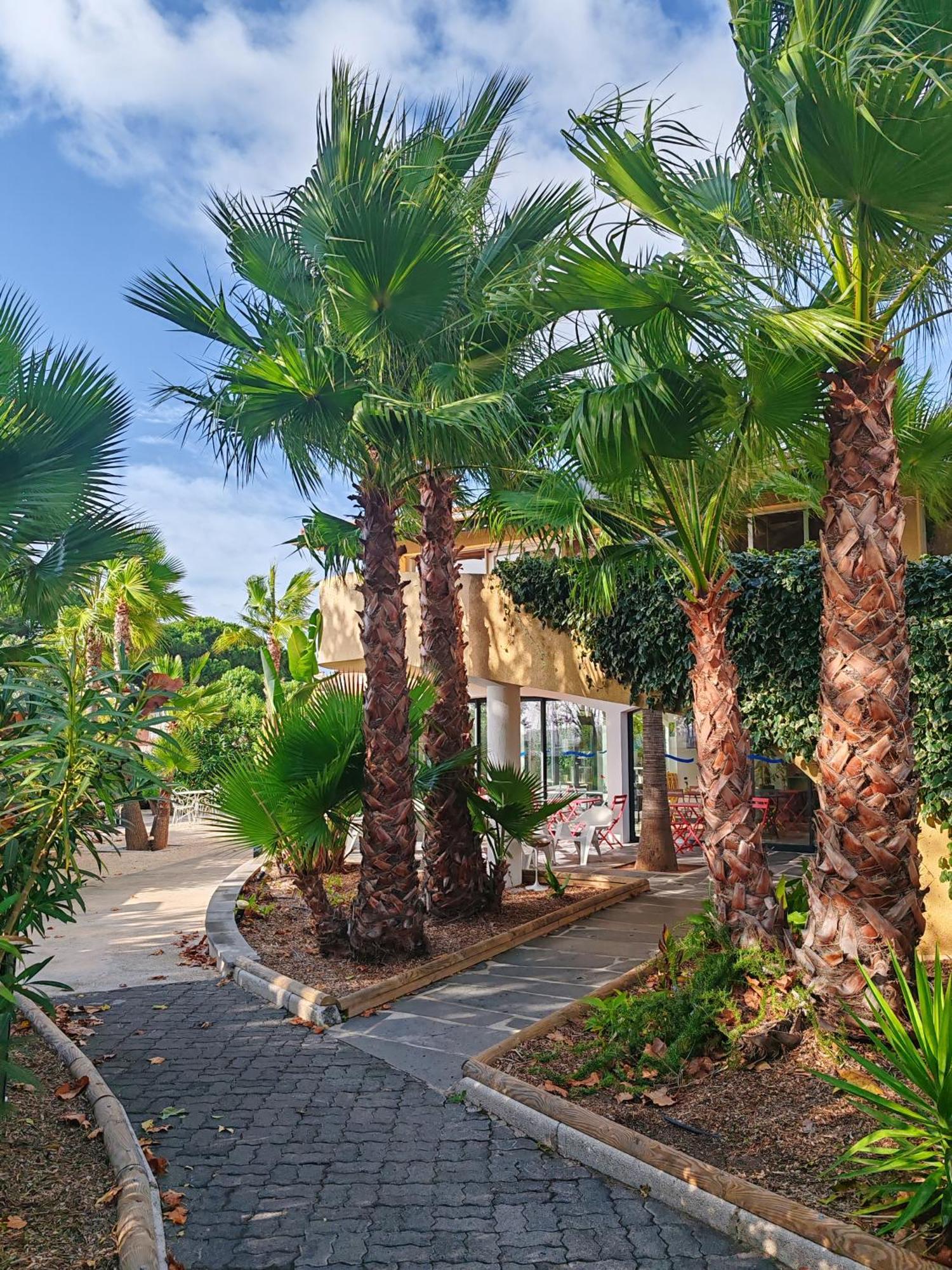 4 Hôtels Budget près d'Yves Mirande à Cap d'Agde